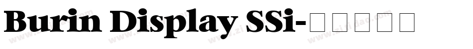 Burin Display SSi字体转换